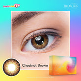 Color Touch Chestnut Brown (monthly)